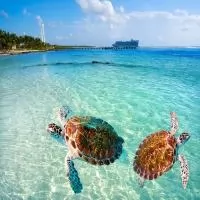 Karayip Adaları (Miami Konaklamalı)