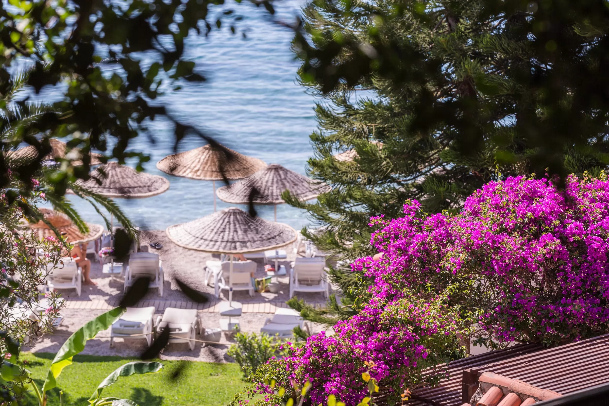 Hillside Beach Club