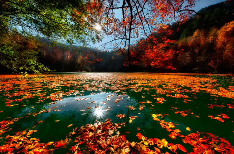 BOLU GÖLLER GEZİSİ