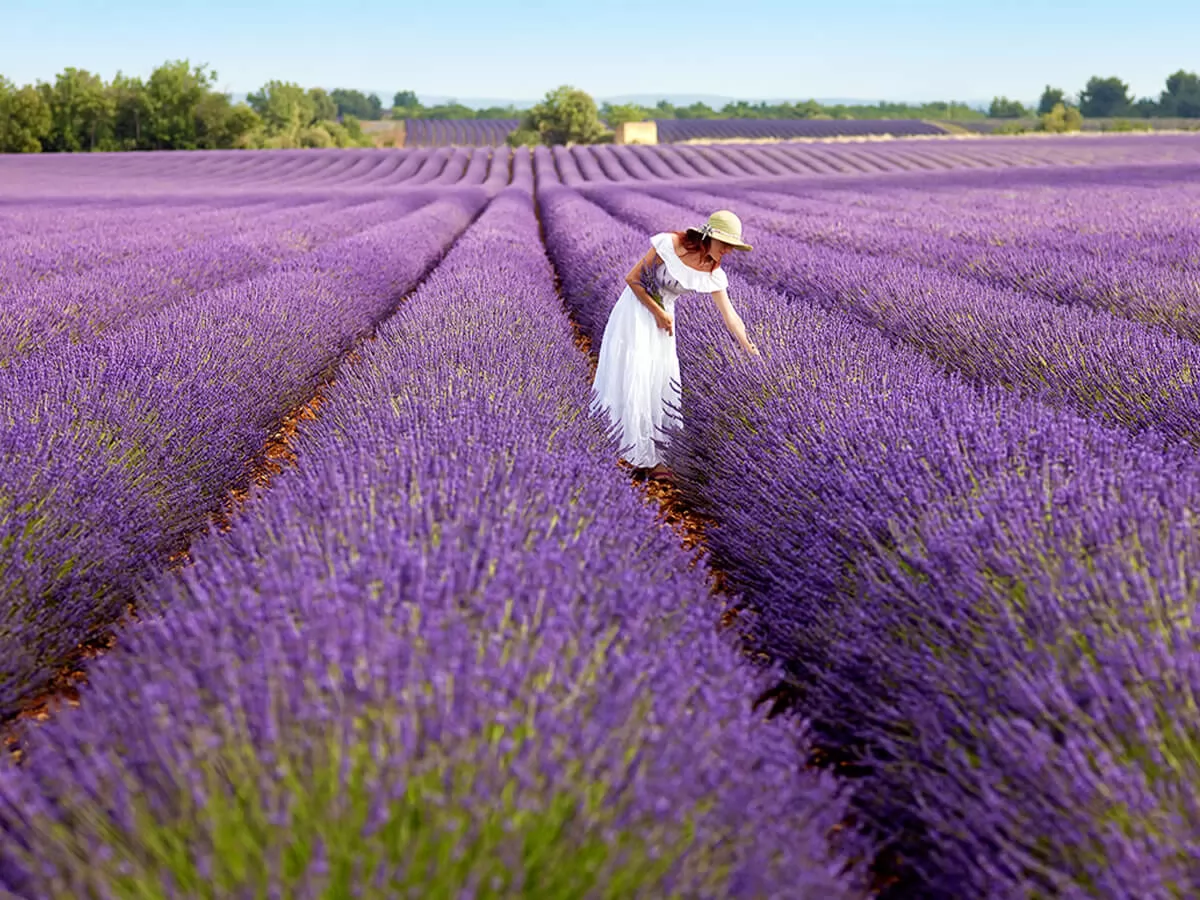 EGENİN İNCİLERİ TURU