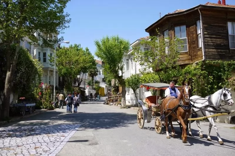 İSTANBUL TURU (ŞİLE-AĞVA-ADALAR)